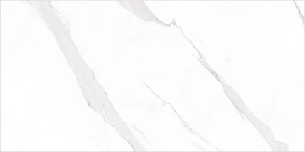 Aanbieding Geo Tiles STATUARY Wit-glans 60X120cm (GEOSTABL6012PR)