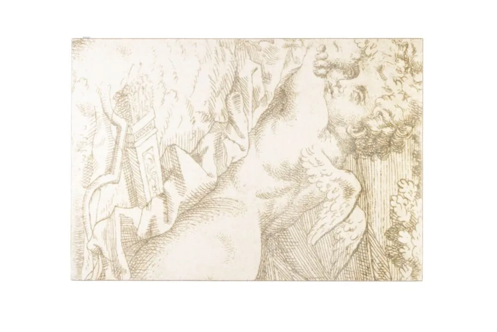 Zuiver Amor vloerkleed-160x230 cm Populair