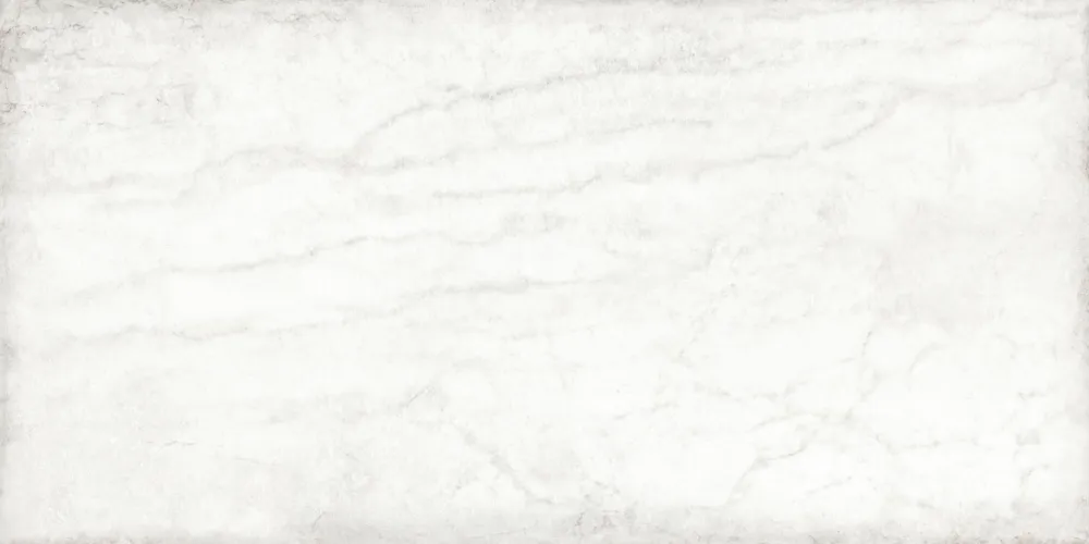 Rechtstreeks Van De Fabrikant Tagina MARMI IMPERIALE Wit mat 60X120cm ( TAGMARAU6012R )