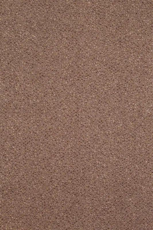 tapijt nen-pro-brown Premium