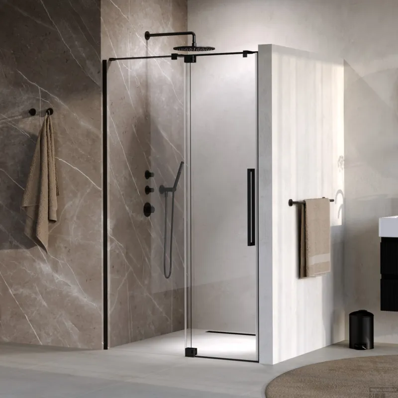 BRAUER Stellar nisdeur 2-delig draaiend helder glas 120x200 omkeerbaar incl. glascoating mat zwart Speciale Aanbieding
