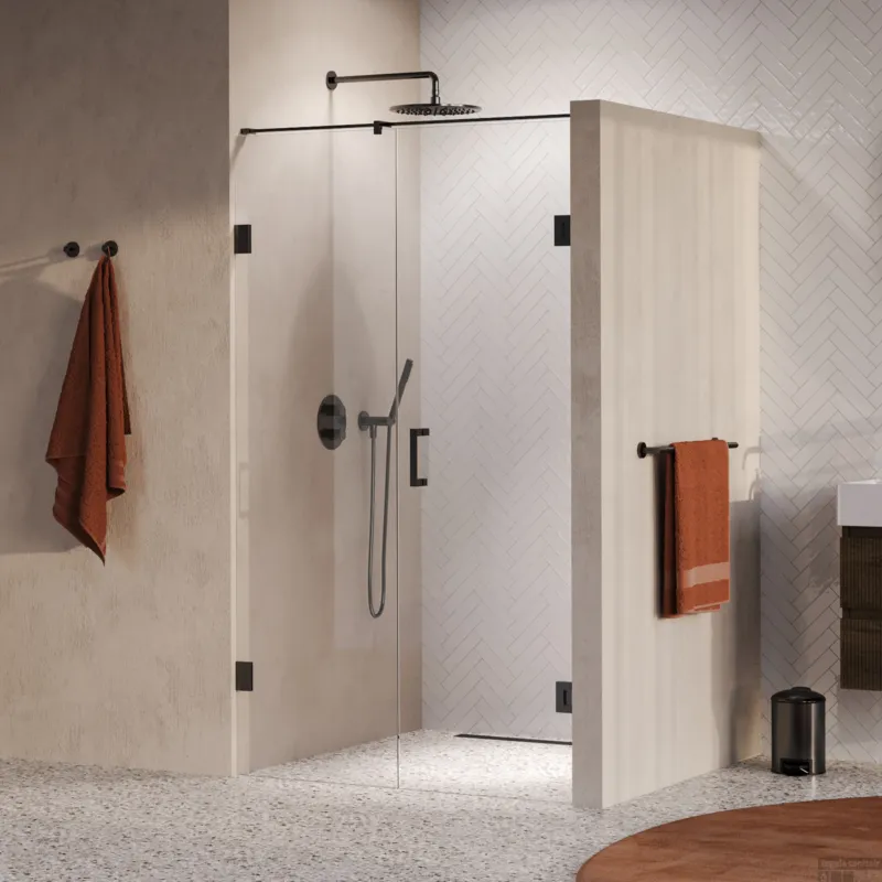 Direct Beschikbaar BRAUER Void nisdeur 2-delig helder glas 110x200 omkeerbaar met draaideur 60 aan muur incl. glascoating PVD gunmetal