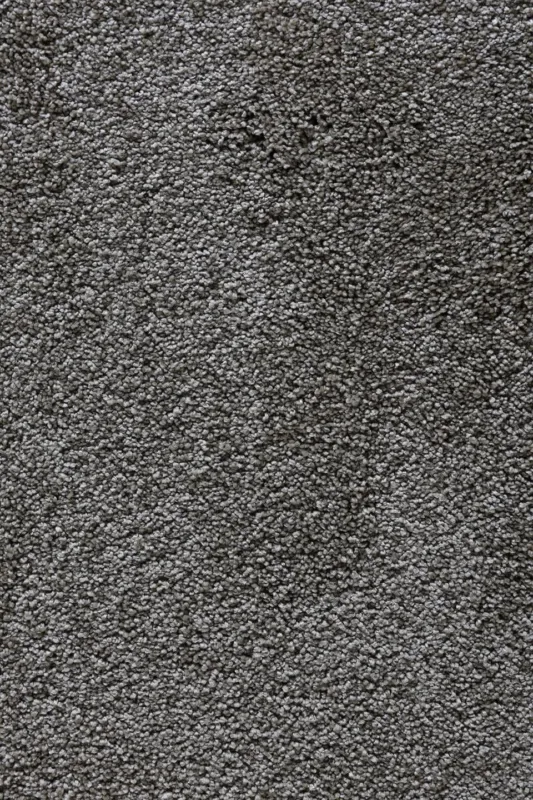 Koop Vandaag tapijt adriana-pet-thyme