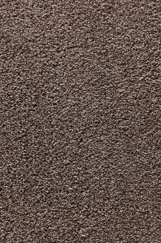 Exclusieve Aanbieding tapijt adriana-pet-earth