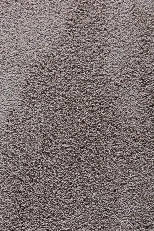 tapijt adriana-pet-dune Merkproduct