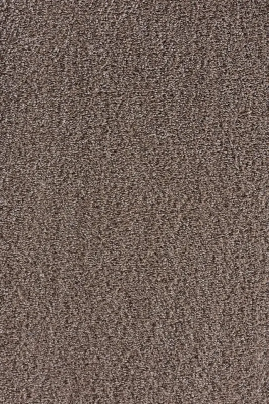 Actieprijs tapijt berghem-pet-desert