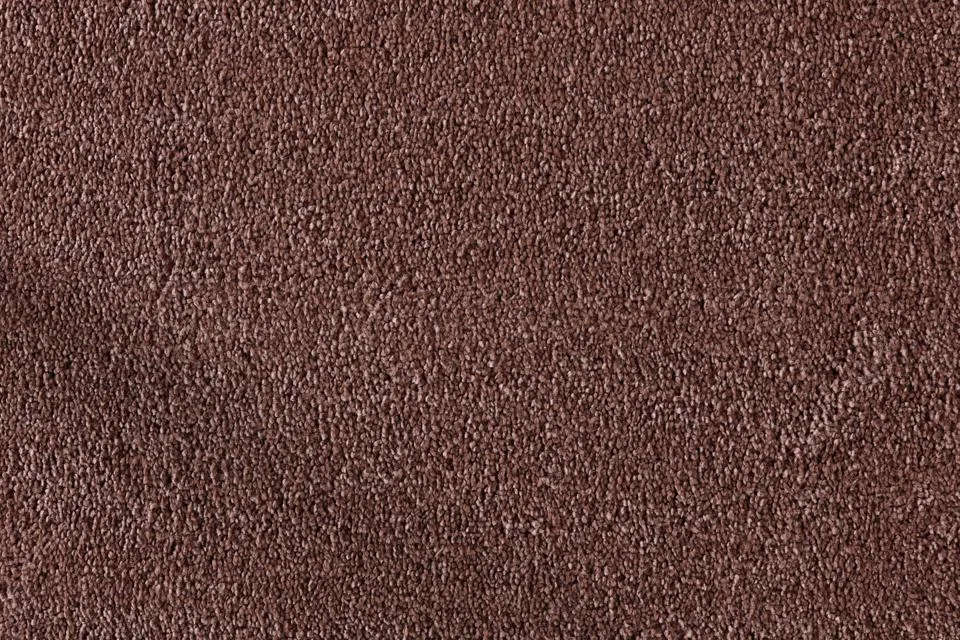 tapijt berghem-pet-blush Weekendaanbieding