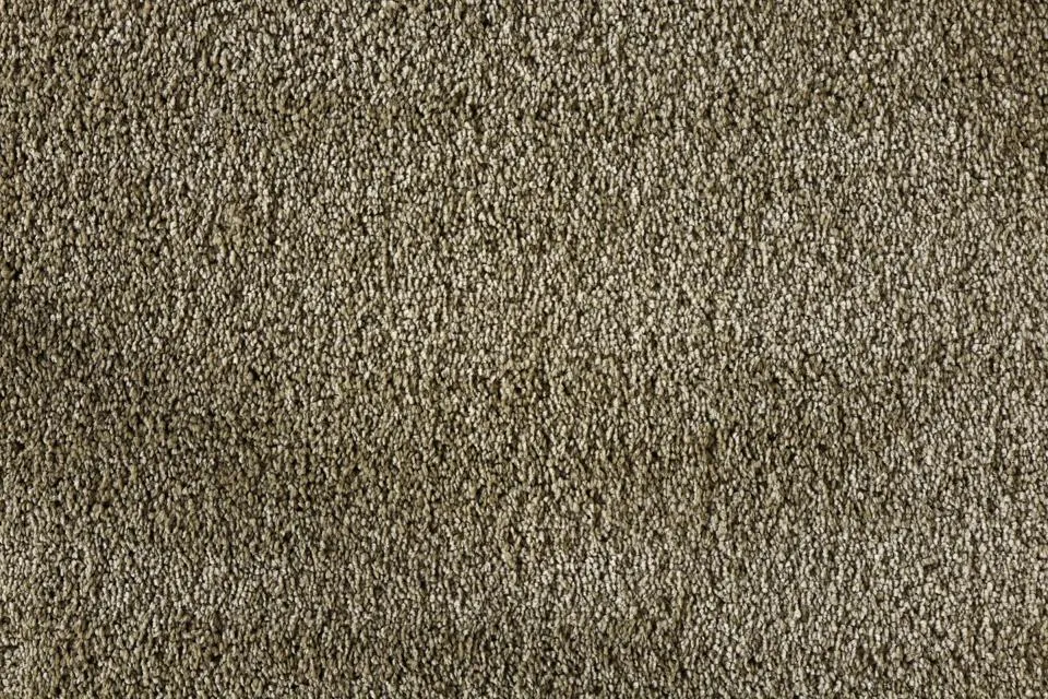 tapijt berghem-pet-moss Seizoensaanbieding