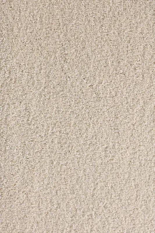 Nieuw tapijt berghem-pet-snow