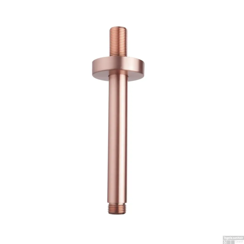 Luxe Douche-Arm Wiesbaden Rond Plafondbevestiging 15 cm Geborsteld Koper Beste Prijs