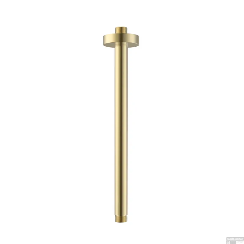 Bestel Nu Douchearm BWS Sensa 30 cm Plafondbevestiging Geborsteld Goud PVD