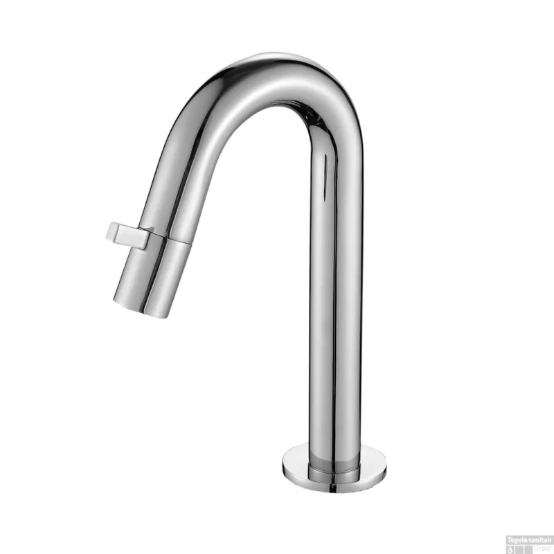 Aanbieding Fonteinkraan Best Design Viewer Koudwater Chroom