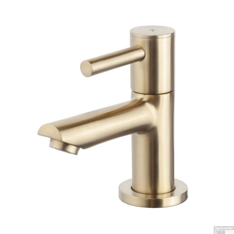 Fonteinkraan BWS Toiletkraan Met Keramisch Binnenwerk Geborsteld Messing Goud Goedkoop