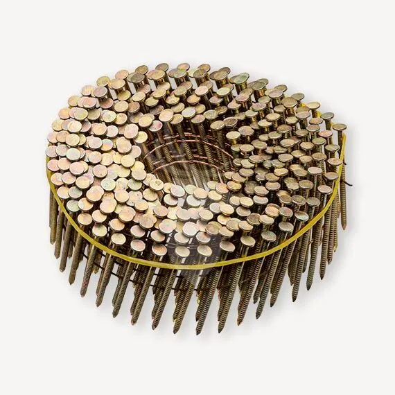 Rolnagels | ring platkop | verzinkt 2,3-2,5x55 mm | 200 st. Beste Prijs