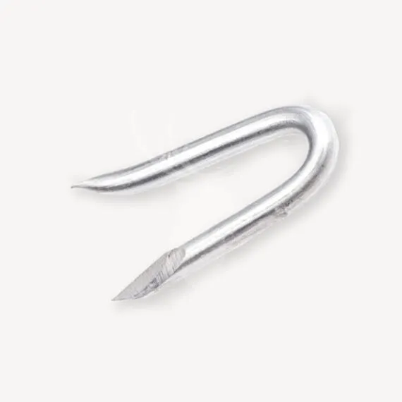 Superprijs Draadkram | verzinkt | 3x30 mm | 1 kg