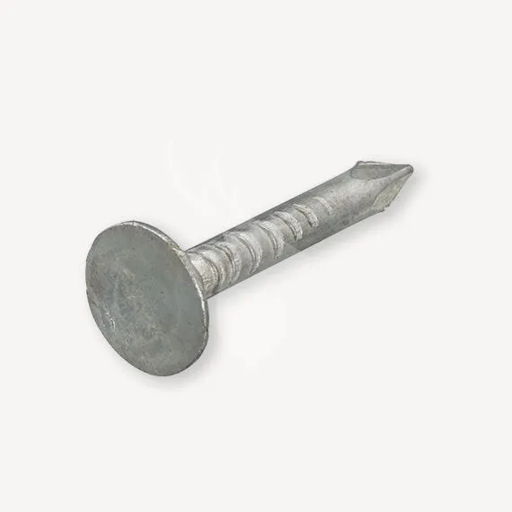 Must-Have Asfaltnagel | 3x20 mm | 100 stuks