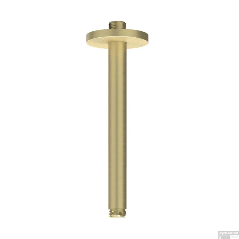 Lage Kosten Plafondbuis IVY 20 cm 1/2 Geborsteld Mat Goud PVD