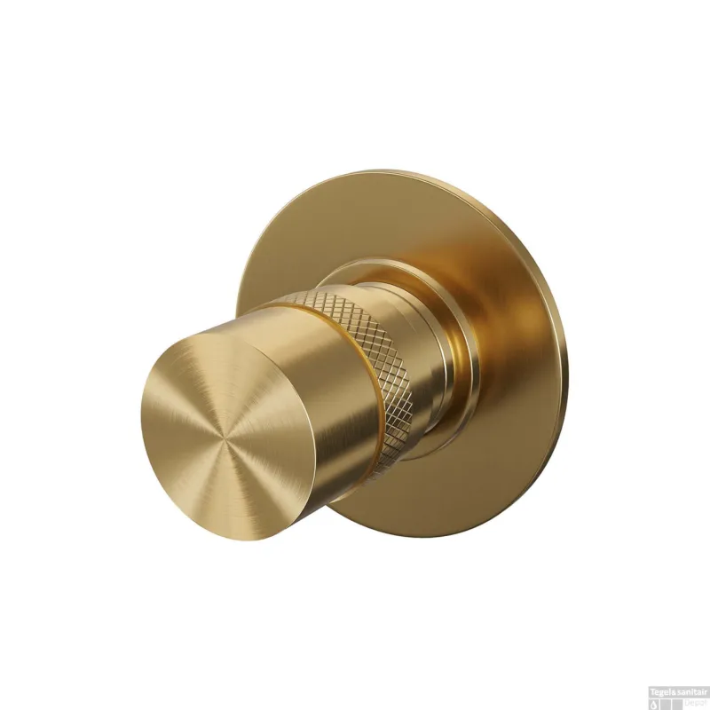 Nu Kopen Stopkraan Brauer Gold Edition met Ronde Knop en Ronde Rozet Geborsteld Goud