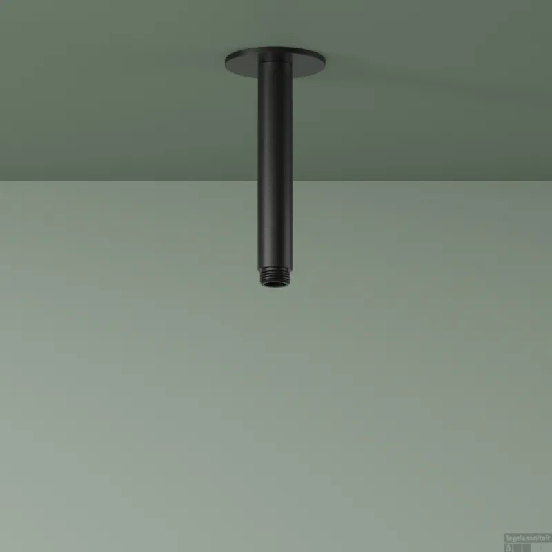 Bestel Nu Plafondbuis Hotbath Ace 15 cm Geborsteld Zwart PVD