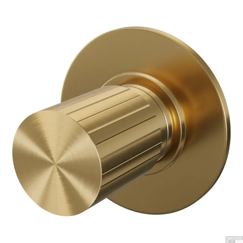 Brauer Stripe losse inbouw stopkraan met in- en afbouwdelen goud geborsteld PVD Beste Prijs