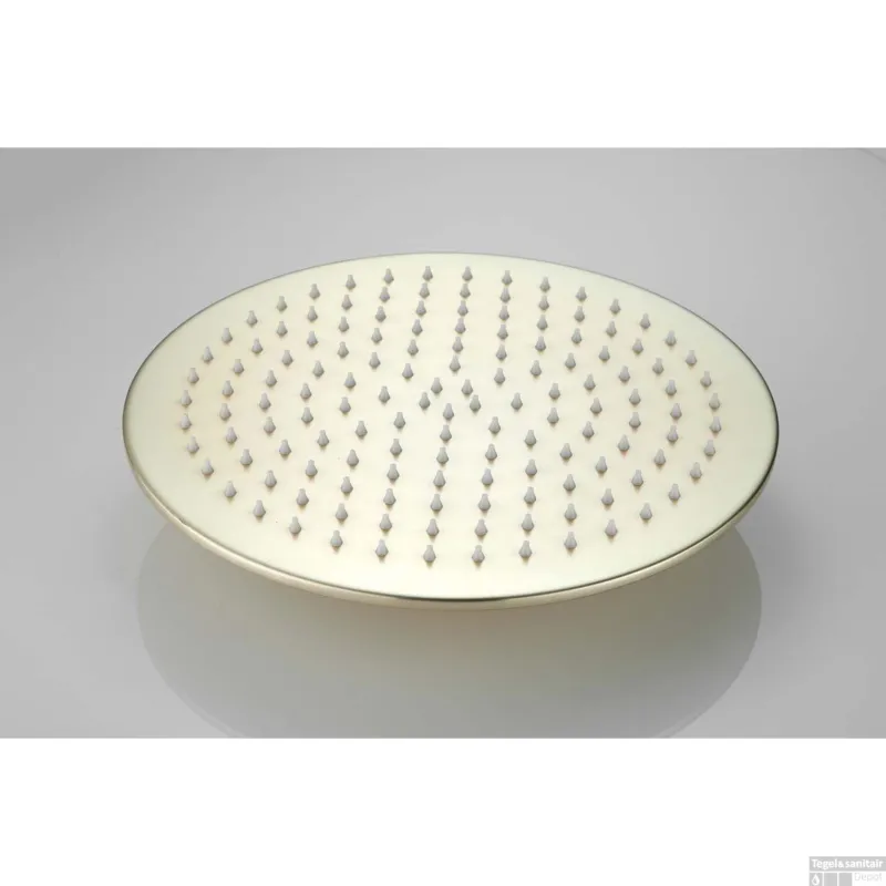 Snelle Levering Hoofddouche BWS Vision Rond 30 cm Mat Goud