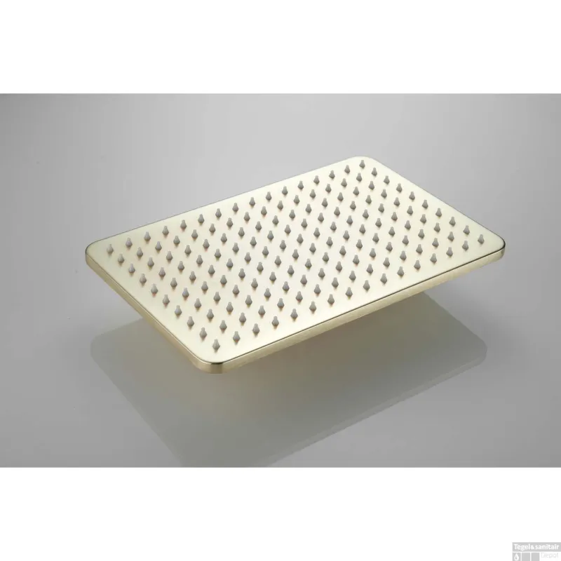Hoofddouche BWS Vision Rechthoekig 30x20 cm Mat Goud Express Levering