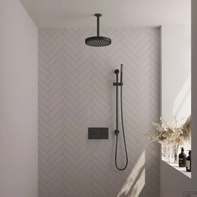 Fabrieksprijs Brauer Stripe thermostatische inbouw regendouche met drukknoppen SET 33 met 25 cm douchekop en plafondarm en staaf handdouche en doucheslang en geintegreerde glijstang mat zwart