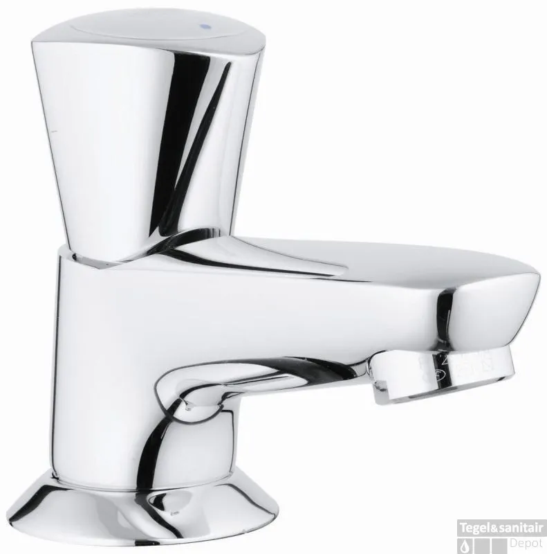 Rechtstreeks Van De Fabrikant GROHE Costa-s Fonteinkraan Laag Chroom