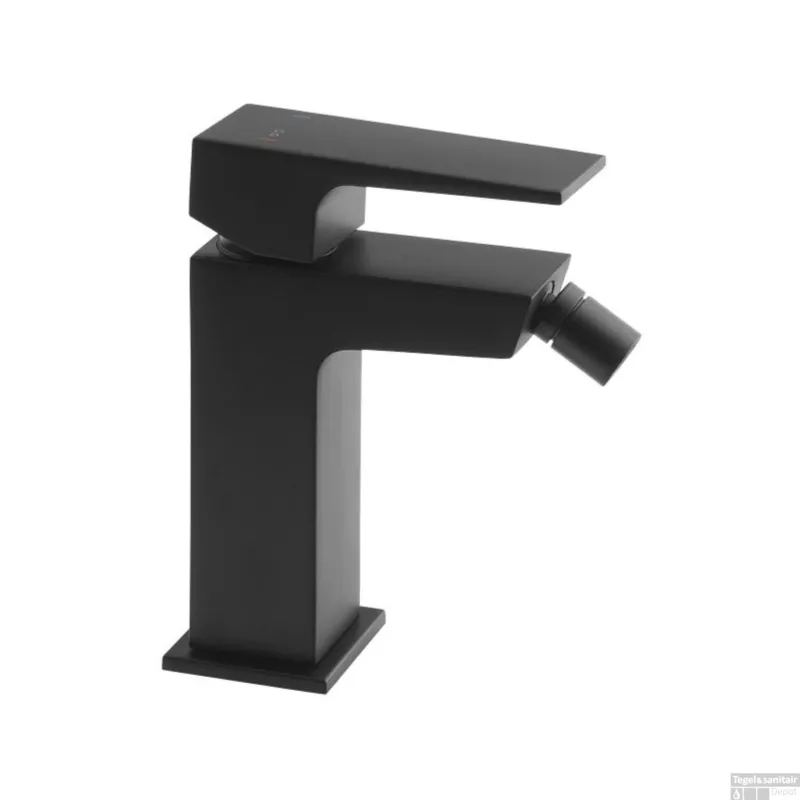 Bidetmengkraan Sapho Dimy Uitloop Recht 1-hendel 15.6 cm Mat Zwart Veilige Betaling