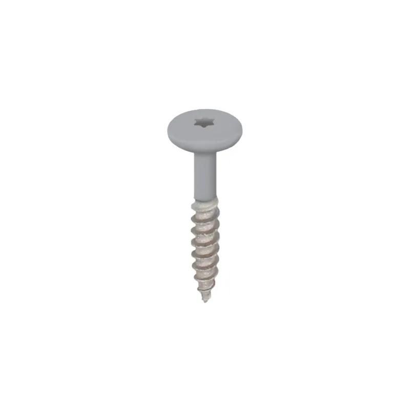 Veilige Betaling Torx schroef RVS 32 mm 100st Grijs - Keralit (2890)