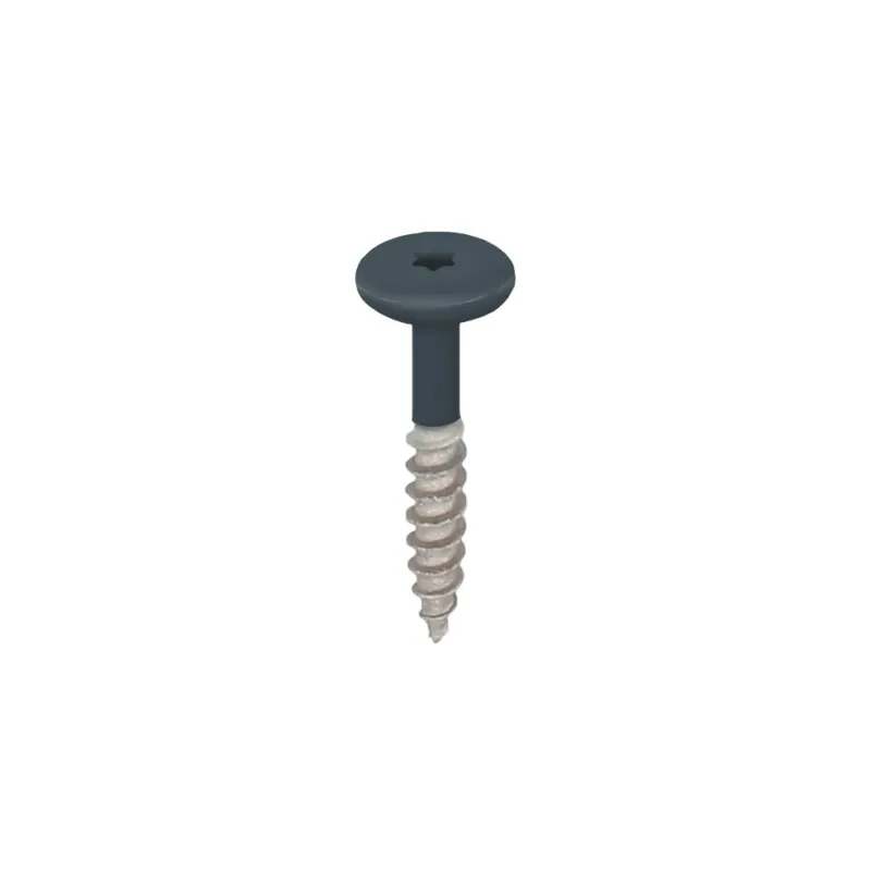 Voordeelprijs Torx schroef RVS 32 mm 100st Monumentenblauw - Keralit (2890)