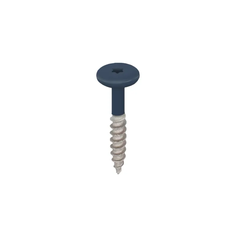 Flitsaanbieding Torx schroef RVS 32 mm 100st Staalblauw - Keralit (2890)