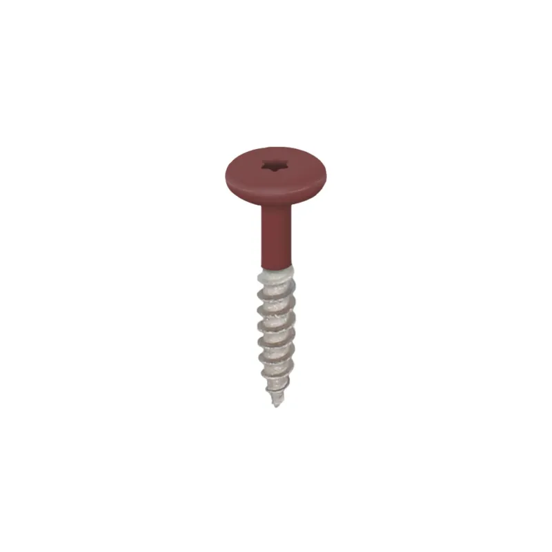 Voordeelprijs Torx schroef RVS 32 mm 100st Wijnrood - Keralit (2890)