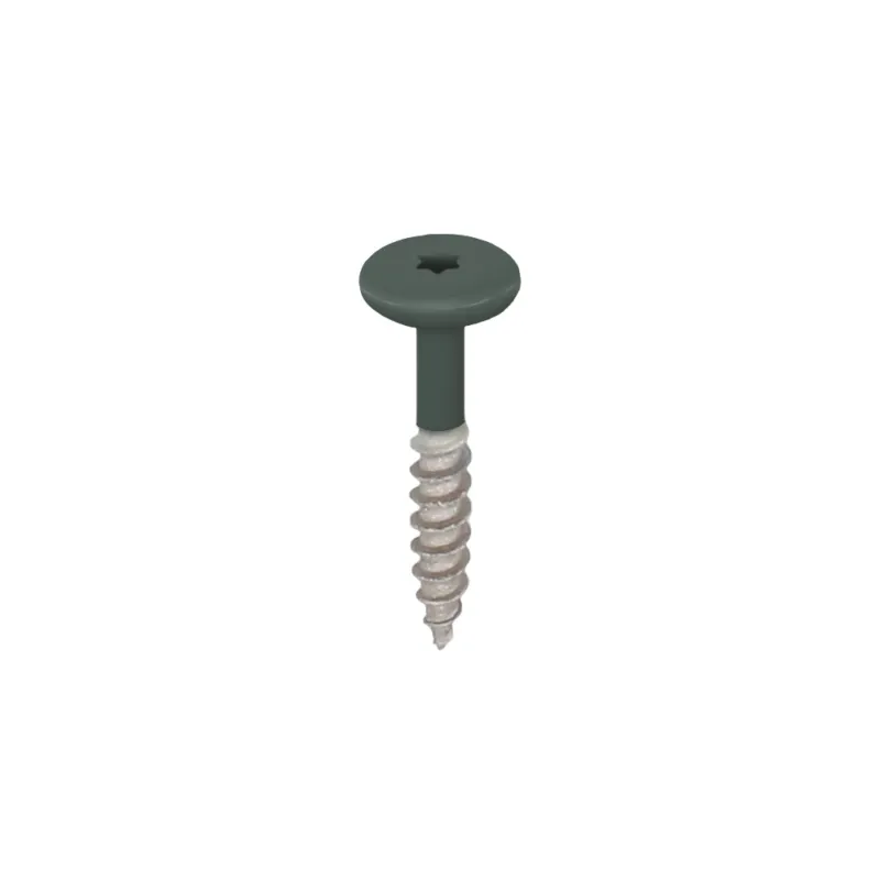 Korting Torx schroef RVS 32 mm 100st Donkergroen - Keralit (2890)