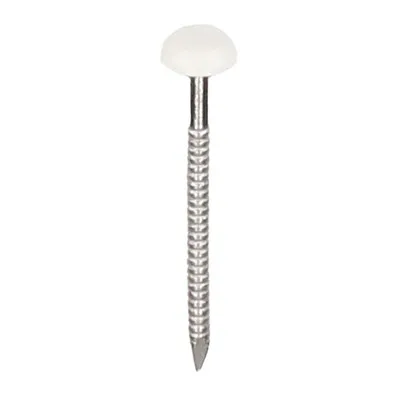 Polytop nagels RVS 50mm Verkeerswit - Heering (100 st) (2192) Gecertificeerd