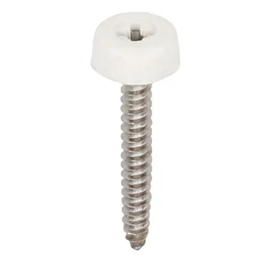 Polytop schroeven RVS 30mm Verkeerswit - Heering (100 st) (2693) Beperkte Voorraad