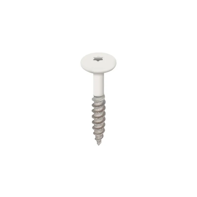 Snelle Levering Torx schroef RVS 32 mm Wit - Heering (2890)
