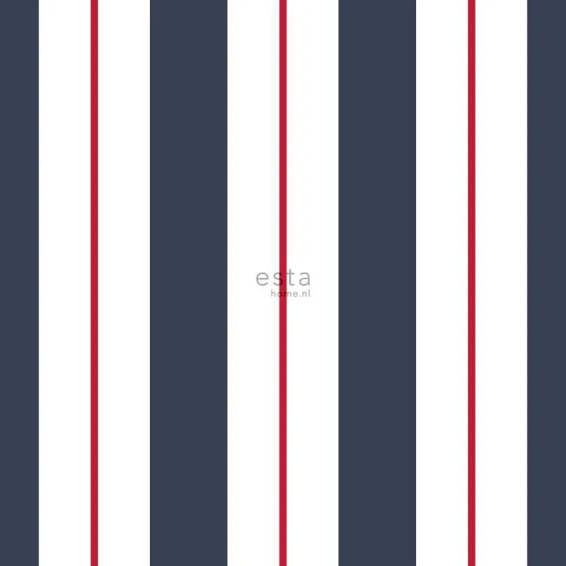 Gecertificeerd Behang Esta Home Regatta Crew - Surf Edition 136415