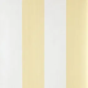 Behang Farrow & Ball Broad Stripe ST 1319 Koop Vandaag