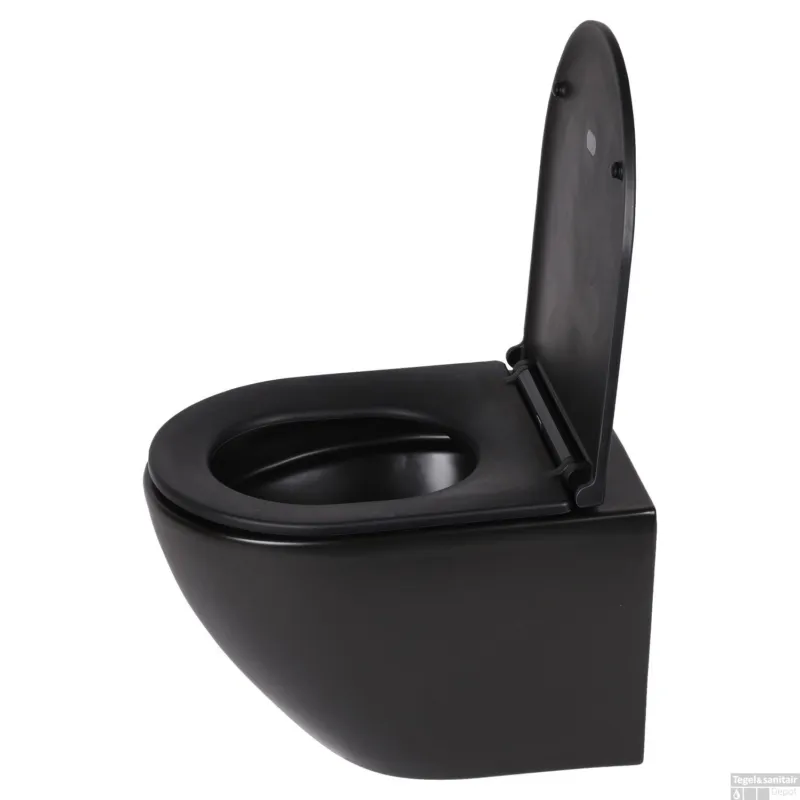 Wandtoilet Differnz Rimless 49x36x37cm Inclusief Toiletbril Zwart Laatste Versie
