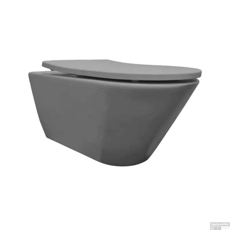 Wandcloset Met Toiletzitting BWS Lia Rimless Mat Grijs Veilige Betaling