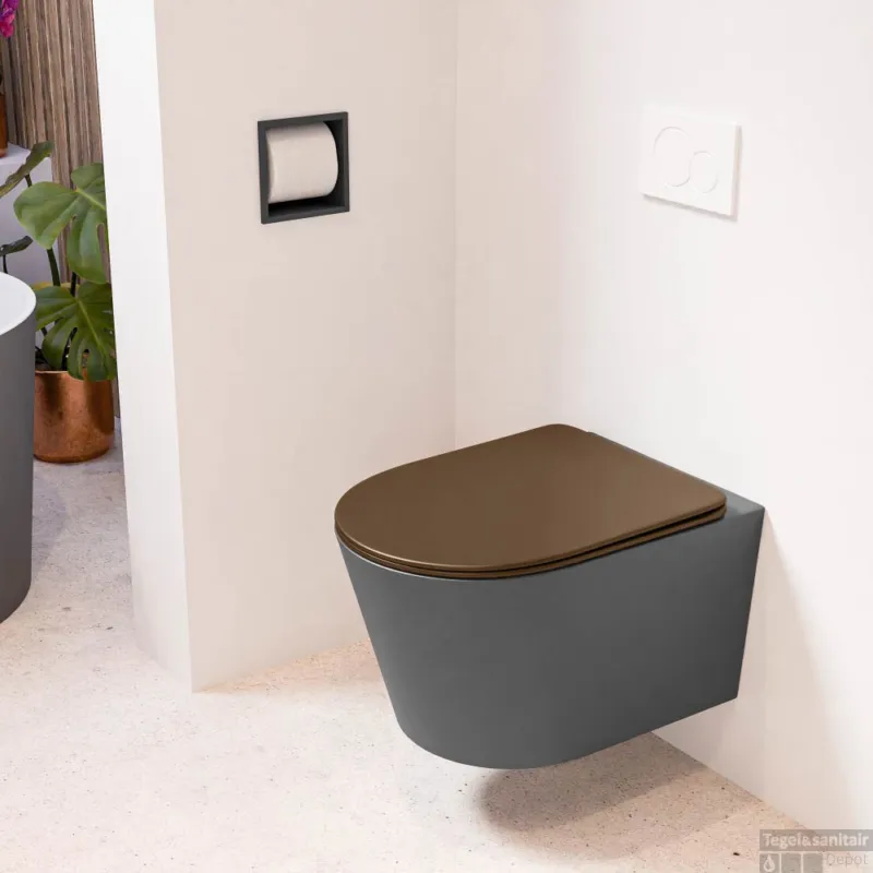 Hoge Kwaliteit MONDIAZ LAVIE hangend toilet single fire rimless diepspoel Dark Grey, Toiletzitting met quick-release & softclose Rust