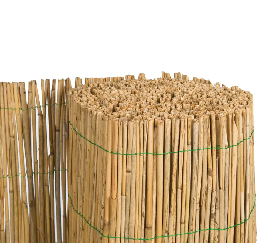 Schuttingmat Riet 600 x 200 cm - 160 cm Hete Deal