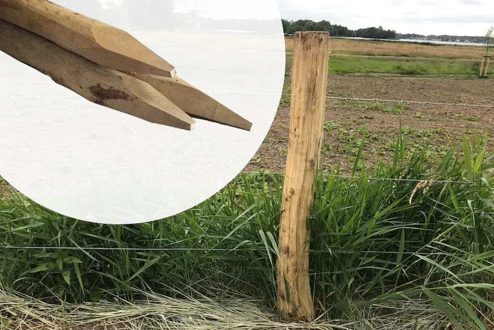 Laatste Kans Kastanje Paal Diameter 10-12 cm - Geschild - 300 cm