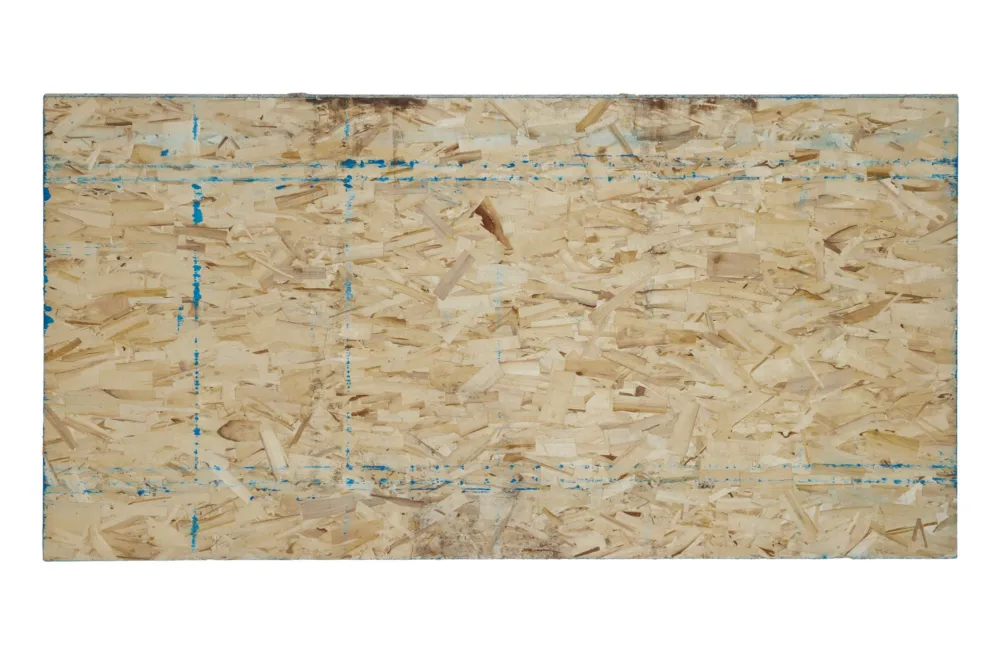 Bestel Nu OSB3 plaat 15 mm (244x122 cm) | Tweezijdig ruw/glad | Blauwe rand