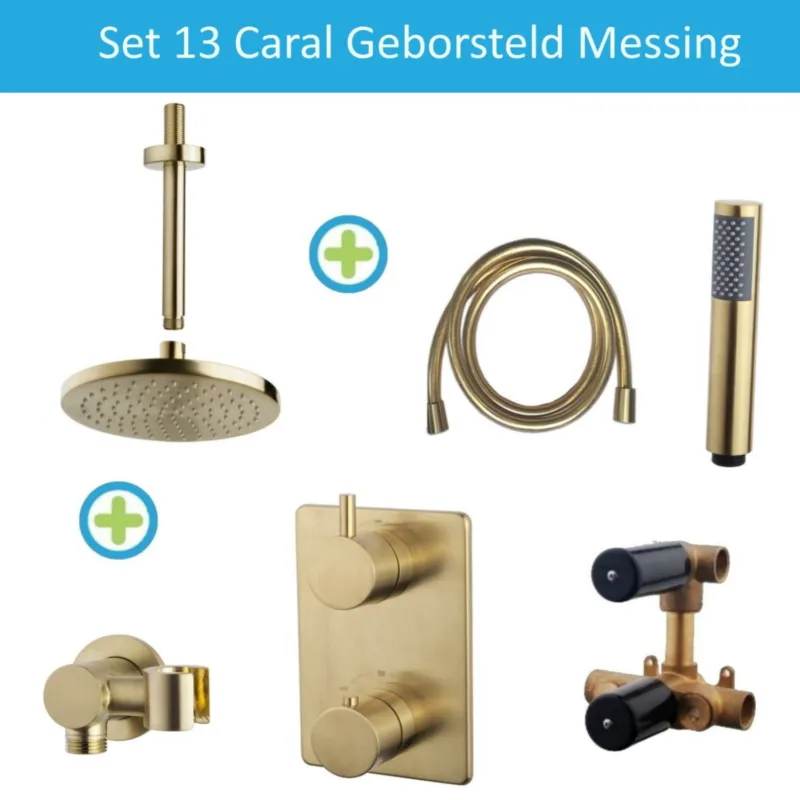 Wiesbaden Inbouw Regendouche Set 13 Caral Plafonduitloop Geborsteld Messing Korting