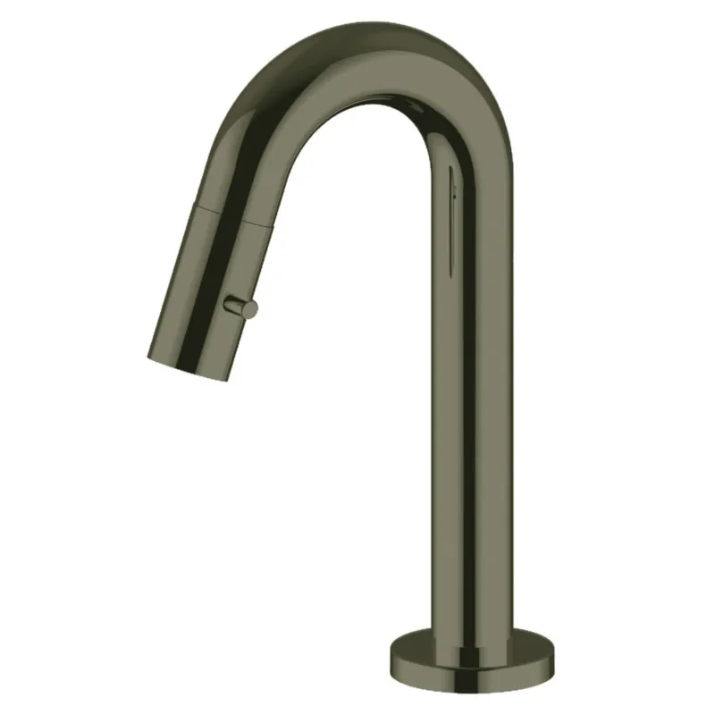 Merkproduct Fonteinkraan Opbouw Salenzi Giro Gebogen Gegalvaniseerd Geborsteld Messing Zwart Chroom