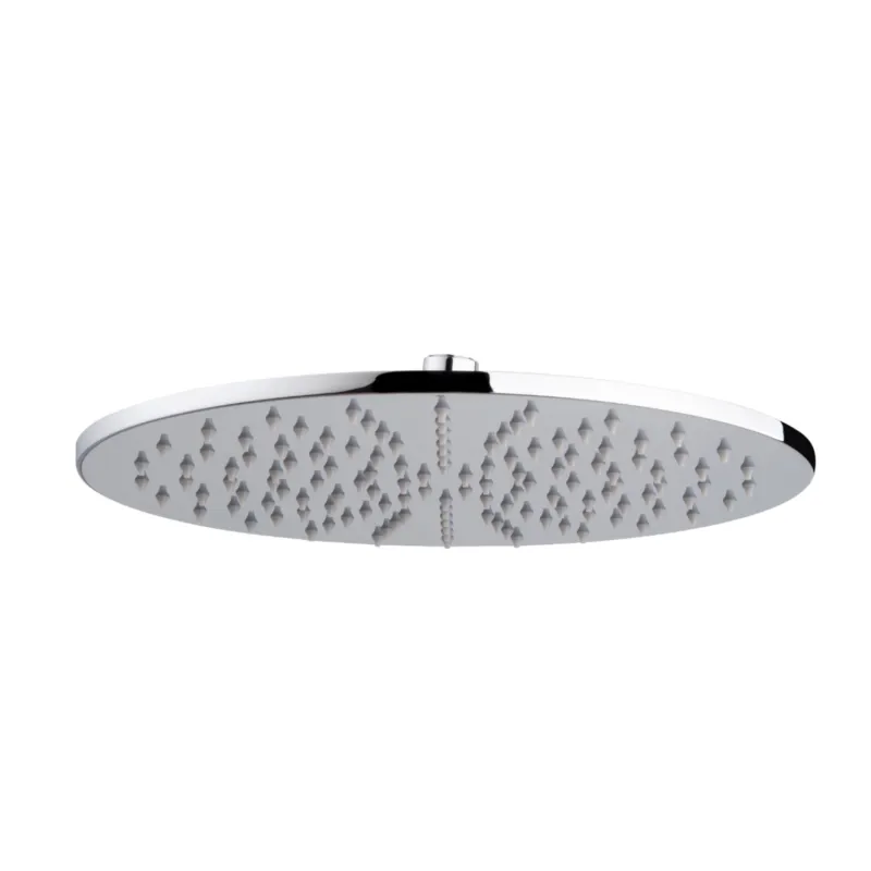 Betrouwbaar Wiesbaden luxe mess.hoofddouche rond 300mmx8mm chroom