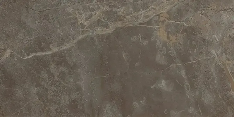 Favoriet Tegelsample Jabo Roma Stone Pietra Brown vloertegel 60x120cm gerectificeerd
