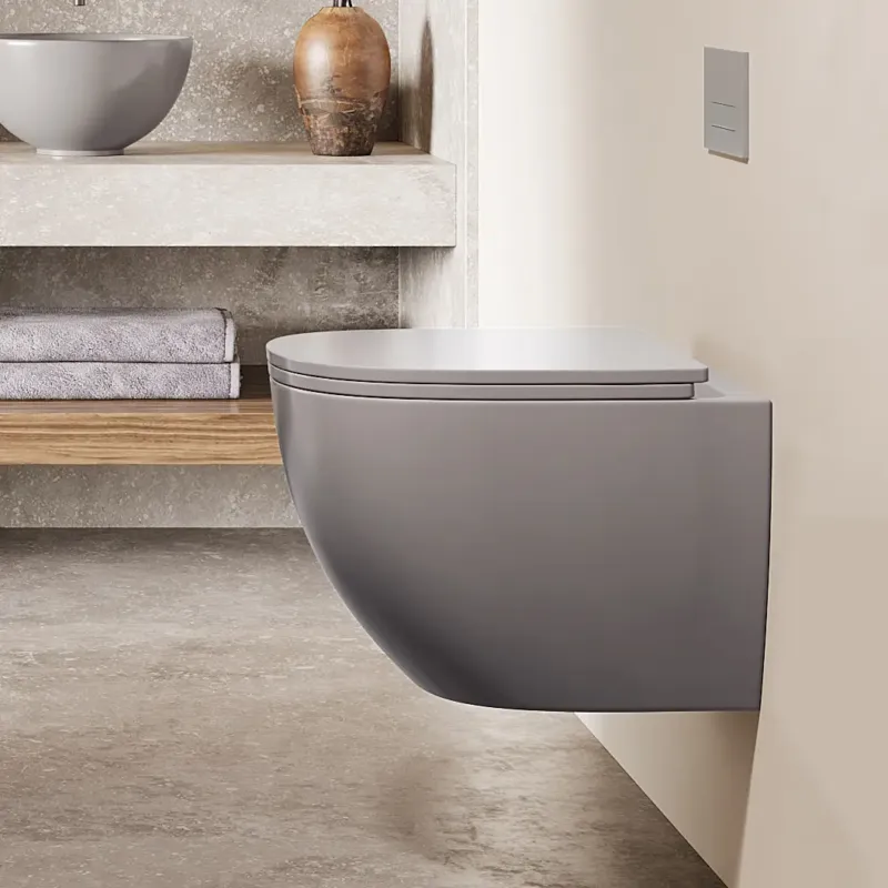 Beste Prijs Saniclear Itsie mat grijze toiletpot randloos met softclose zitting